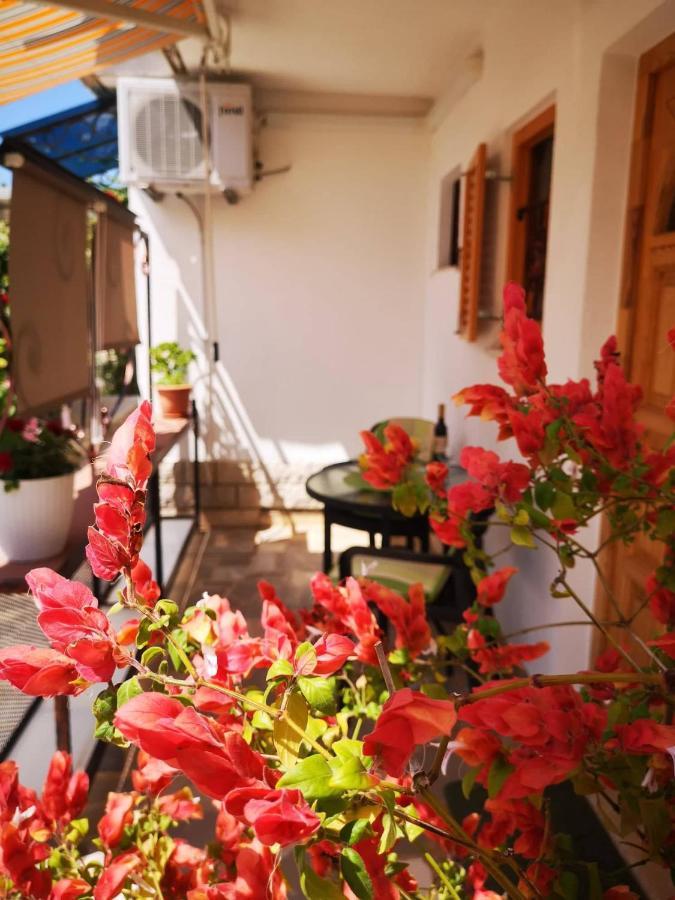 Apartmani Rita Studio Novigrad Istria Esterno foto