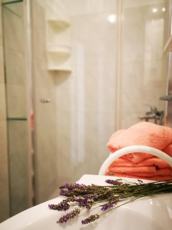 Apartmani Rita Studio Novigrad Istria Esterno foto