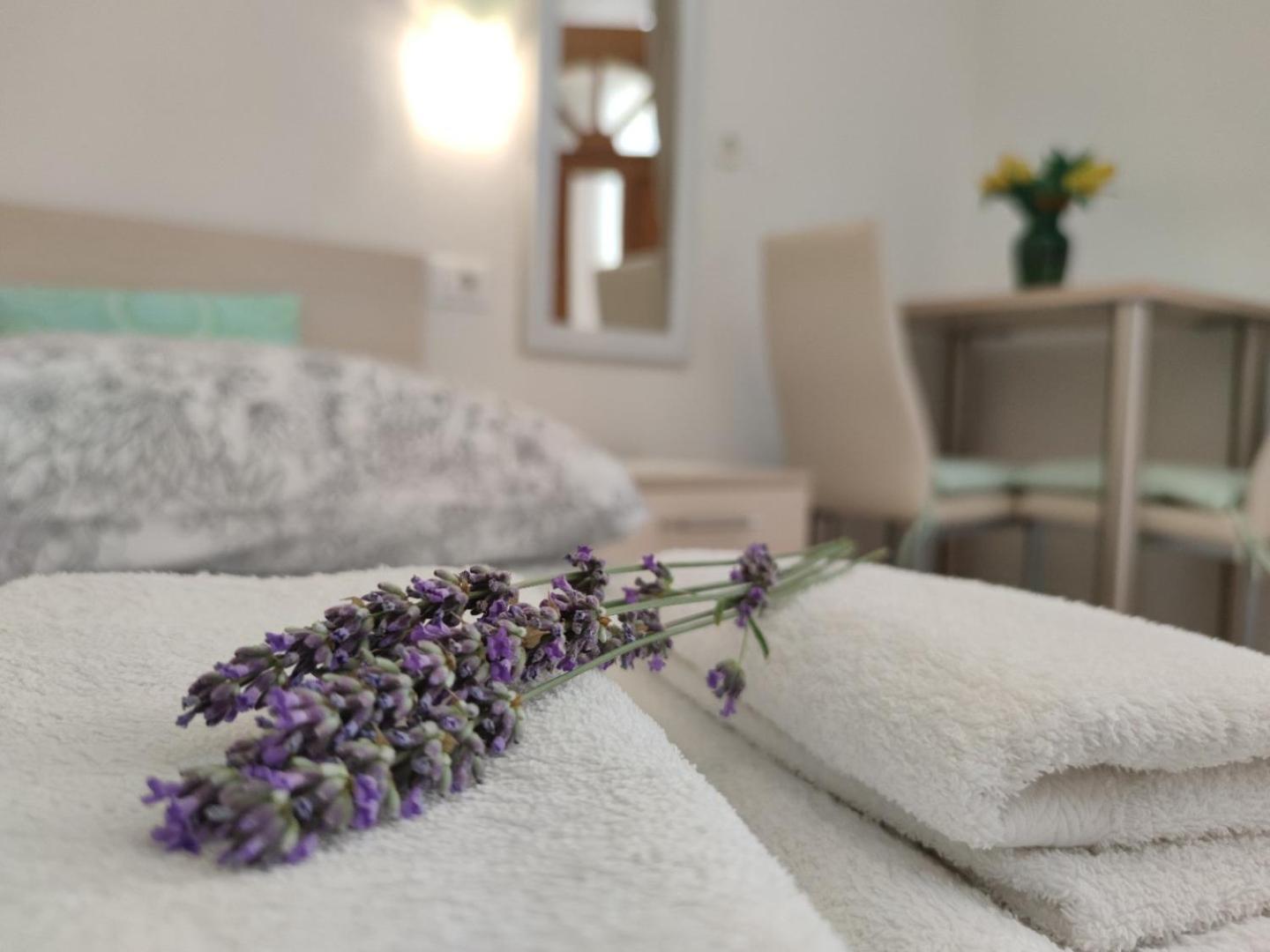 Apartmani Rita Studio Novigrad Istria Esterno foto