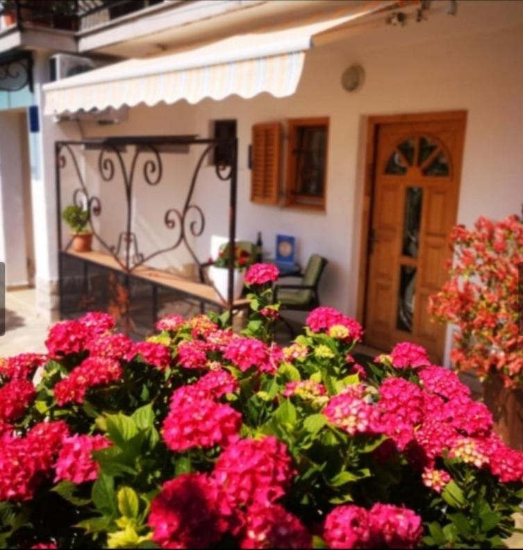 Apartmani Rita Studio Novigrad Istria Esterno foto