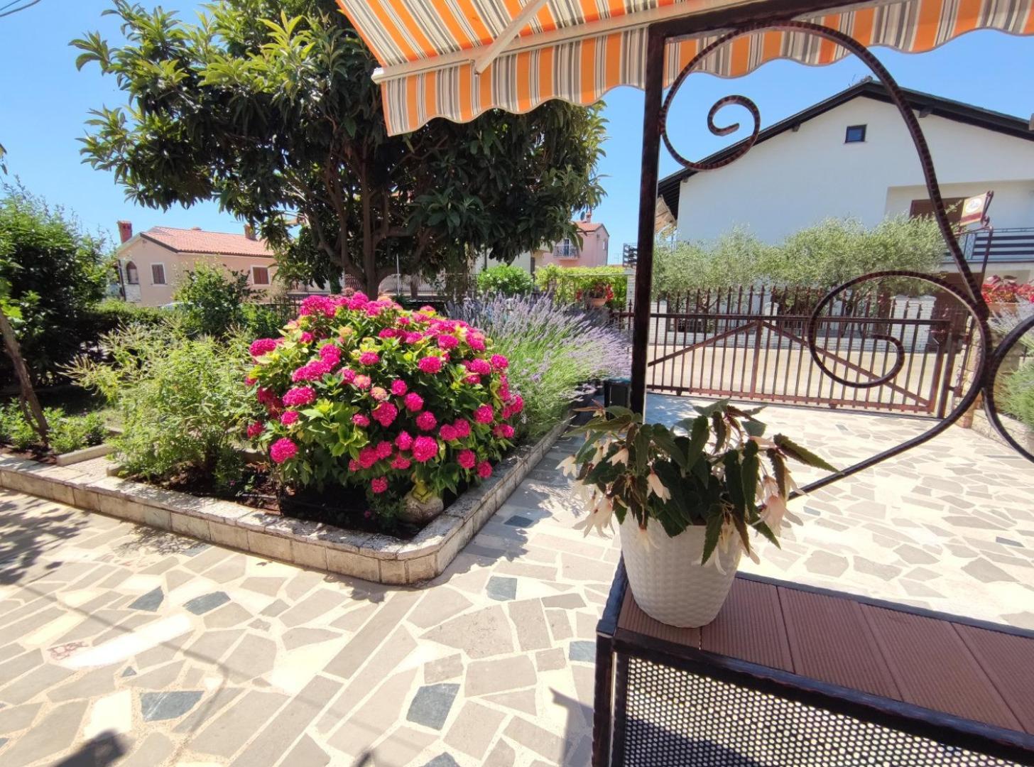 Apartmani Rita Studio Novigrad Istria Esterno foto