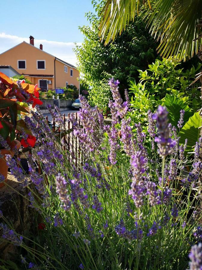 Apartmani Rita Studio Novigrad Istria Esterno foto