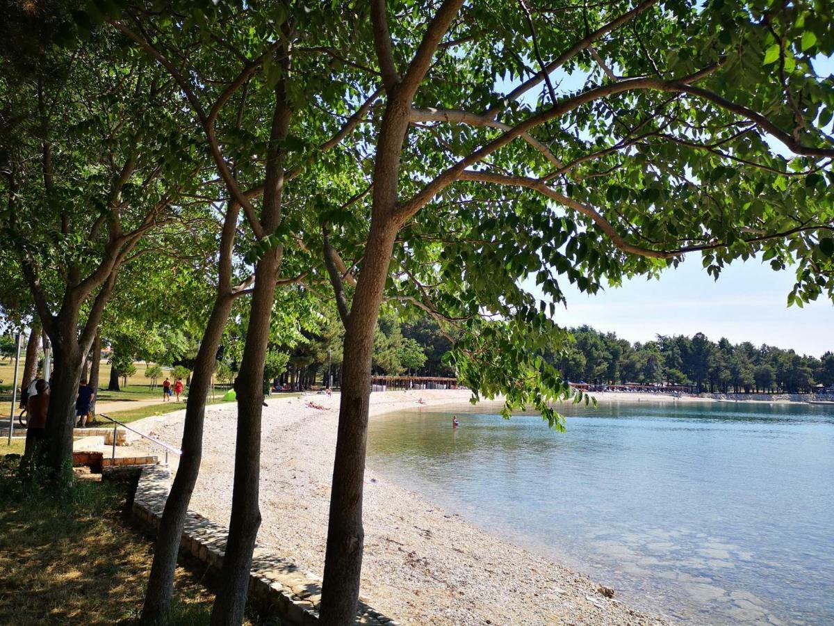 Apartmani Rita Studio Novigrad Istria Esterno foto