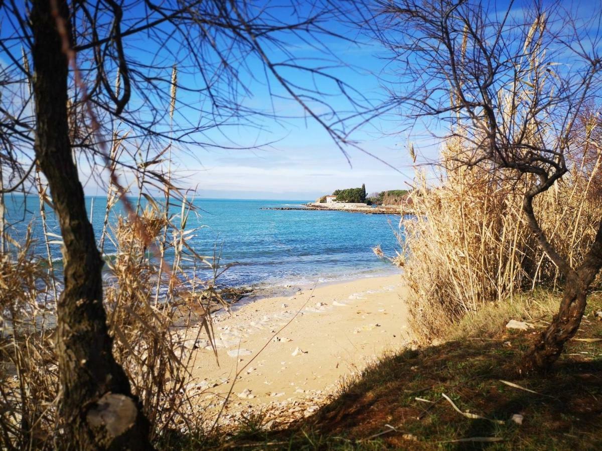 Apartmani Rita Studio Novigrad Istria Esterno foto